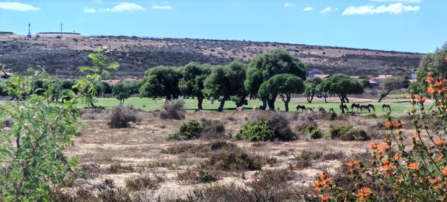3 Bedroom Property for Sale in Langebaan Country Estate Western Cape